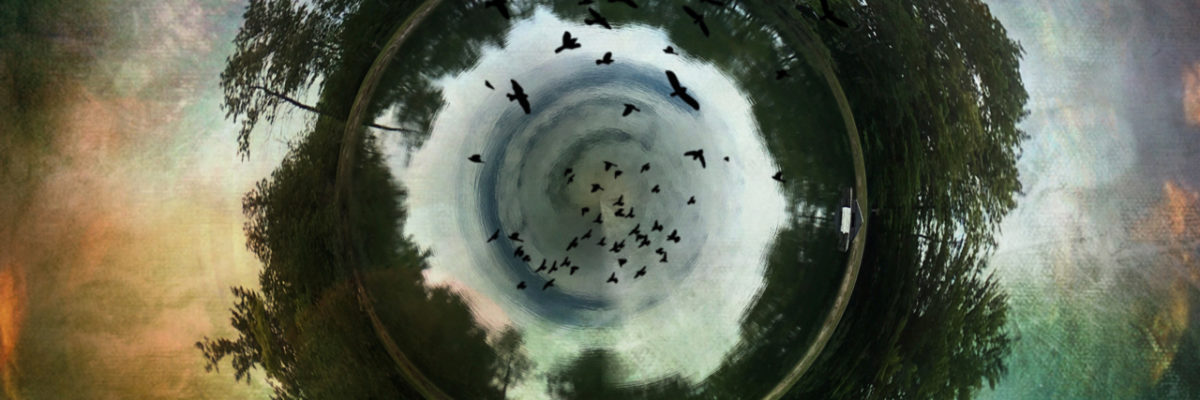 circle of trees around a well of sky and river