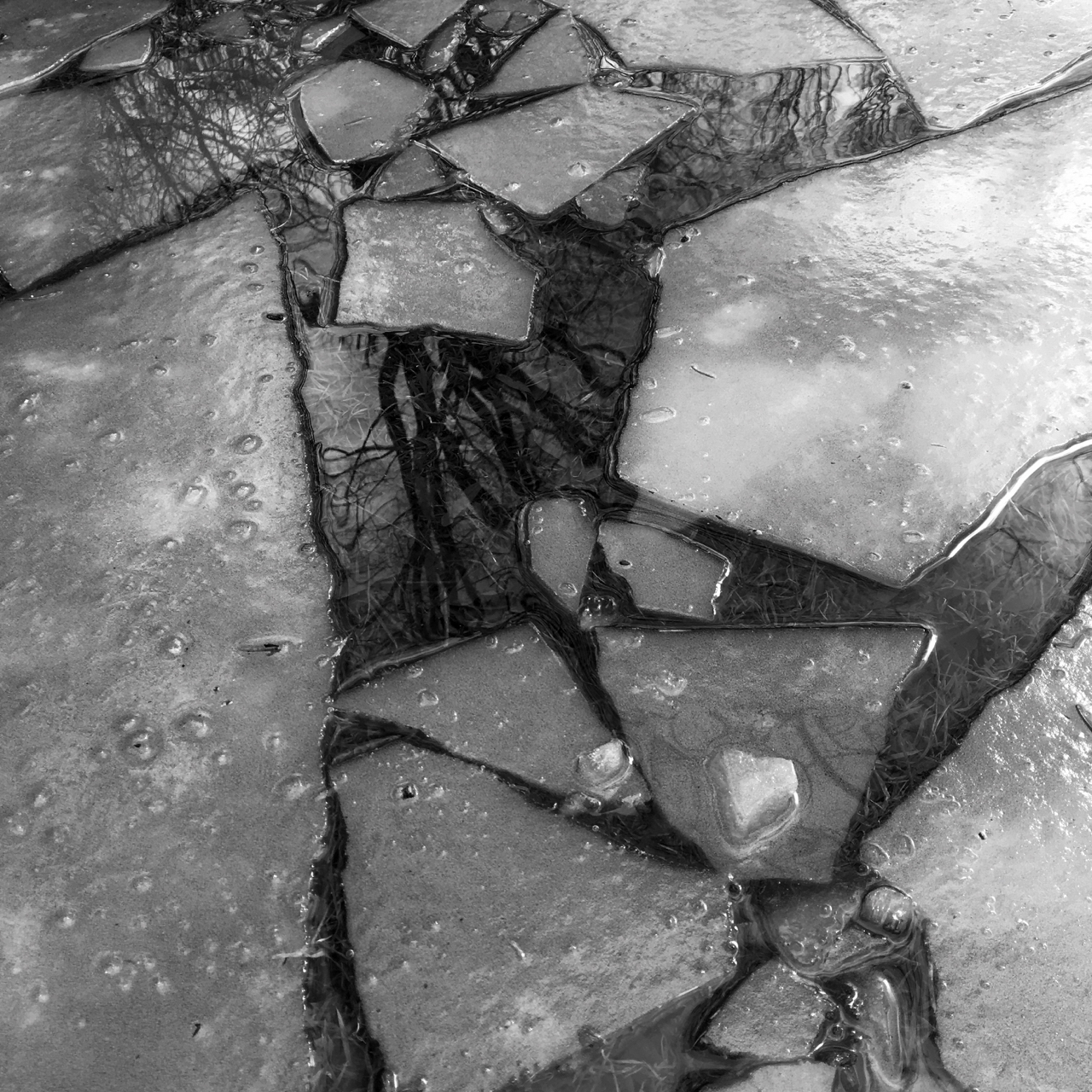 cracks in everything study in ice plates floating on creek with reflection of tree branches suspended