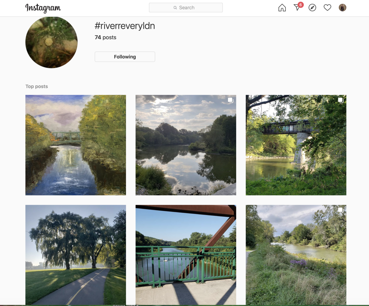 screenshot of instagram for River Revery community arts engagement 